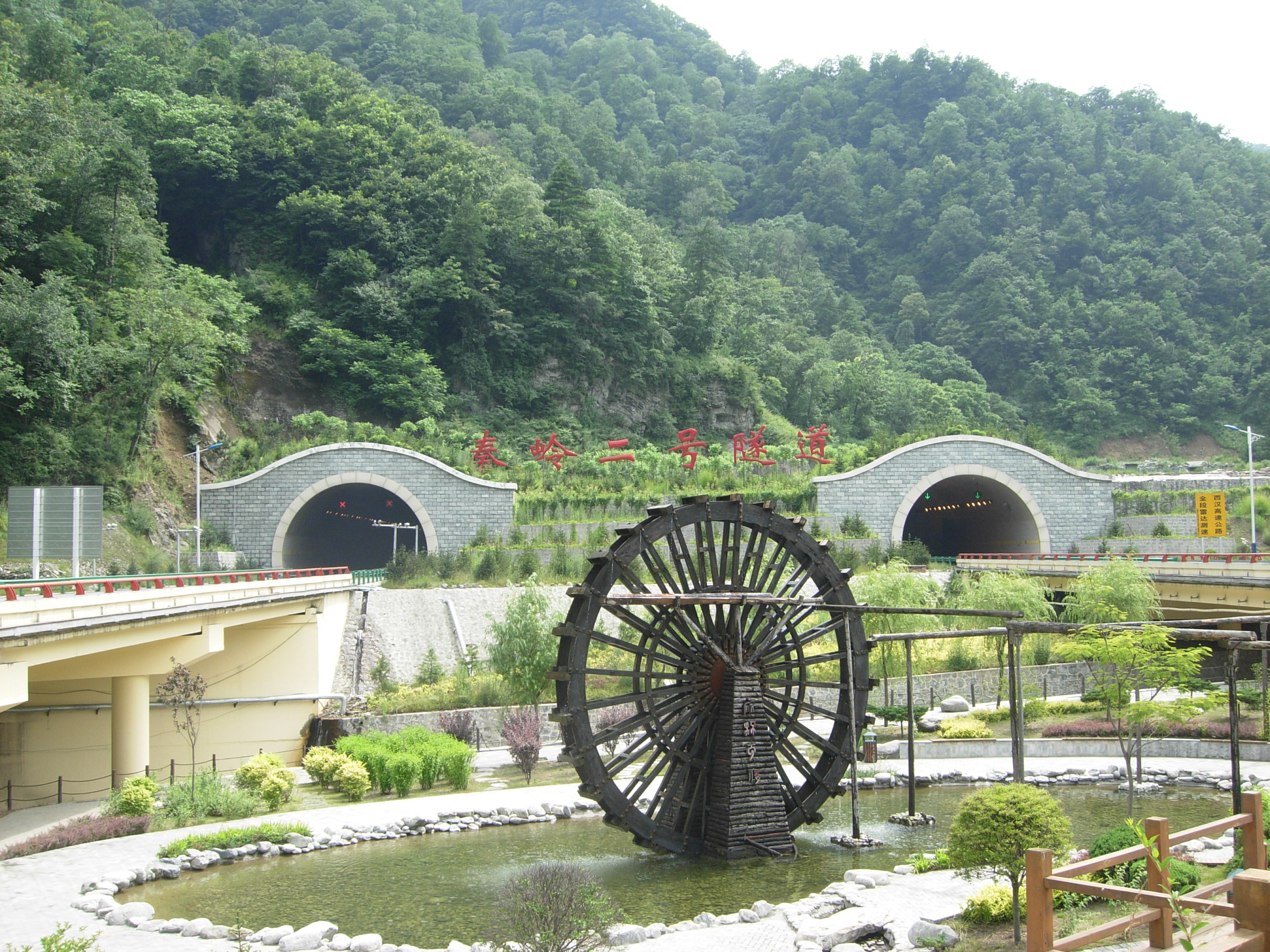 DSCN9806.JPG